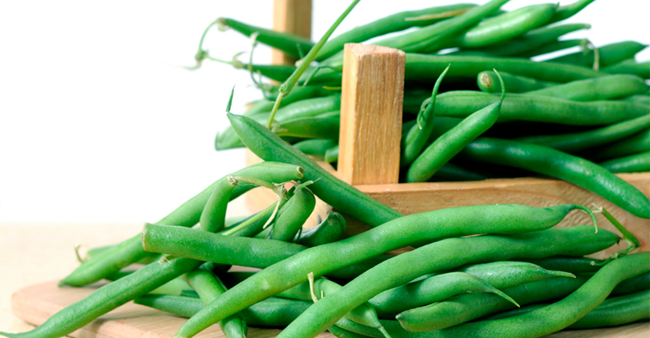 Legumes