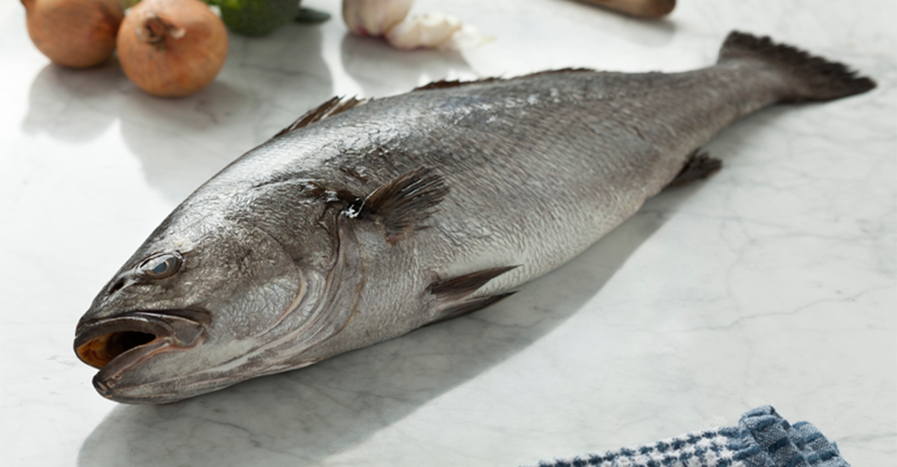Pescado | Marisco